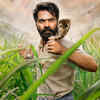 Simbu's first look from Eshwarudu