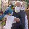 Article image for: PM Narendra Modi visits Geodesic Dome Aviary in Gujarat’s <i class="tbold">kevadia</i>