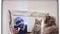 Alisha tricked us into getting Sushi as our pet: Rahman