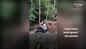 Anju Kurian's nature getaway