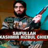 Article image for: Hizbul chief <i class="tbold">Saifullah</i> killed in encounter near Srinagar