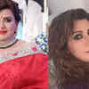 Article image for: Kundali Bhagya's actress <i class="tbold">anisha</i> Hinduja tests positive of COVID-19