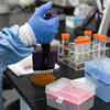CureVac generates strong immune response, to start mass-scale trials soon