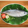 ​Tuna