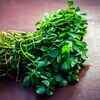 ​Prevents colon cancer