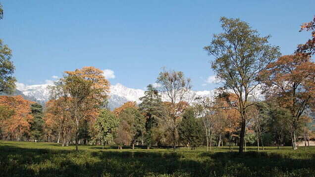 Palampur&rsquo;s famous picnic spot Saurabh Van Vihar opens for tourists