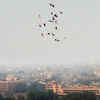 Article image for: Air pollution: Delhi turns into '<i class="tbold">gas chamber</i>'