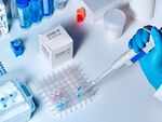 The purpose of COVID tests?