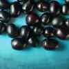 ​Jamun (seasonal)