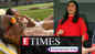 Amid controversy over his nude pic, Milind Soman chills with wife Ankita Konwar basking in the sun; Fans call Anushka Sharma 'the most supportive wife', and more...