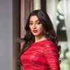 <i class="tbold">paoli</i> Dam is a true blue fashionista
