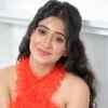 Shivangi Joshi will celebrate over a video call