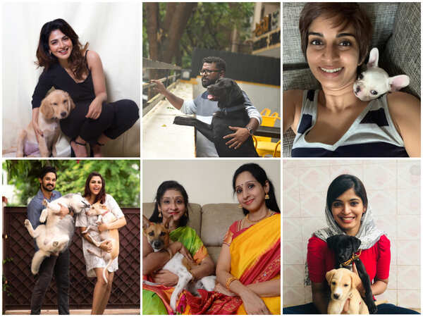 Sanchita Shetty