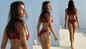 Disha Patani drops a ravishing picture in red tie-up bikini, Tiger Shroff's mom Ayesha Shroff reveals the actress' nickname via a comment
