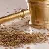 Or drink jeera (cumin) water every morning
