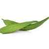 Article image for: Easy ways to include <i class="tbold">ridge gourd</i> in your diet