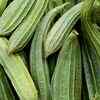 Article image for: Health benefits of <i class="tbold">ridge gourd</i>