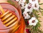 Manuka Honey and its benefits