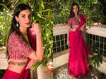 ​Diana Penty's sari