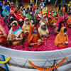 Article image for: Watch: How devotees perform <i class="tbold">chhath puja</i> across the country amid restrictions