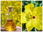 ​What is argemone oil and how it is mixed with mustard oil?