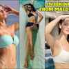 In Bikini From Maldives Rakul Preet Singh And Disha To Shanvi Srivastava Tollywood Divas Flaunt Their Toned Bods The Times Of India