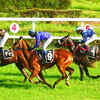 Article image for: What’s a horse racing season without punters?