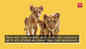 Animals from classic literature we wish were our pets