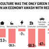 'Agriculture stood as the only saviour'