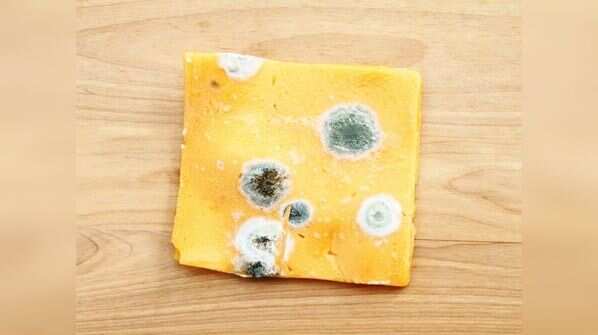How can you prevent mould from forming?