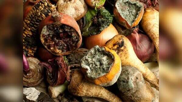 Effects of eating mould