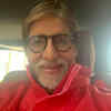 The colours that Bachchan dislikes