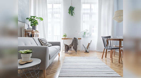 Keep your rugs and carpet clean