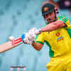 Australia top-order shines again