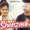 Article image for: Punjabi Gana 2020: Latest DJ Punjabi Song 'Shehzadi' Sung by Maahi Nayyar