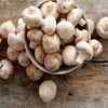 Foods rich in histamin