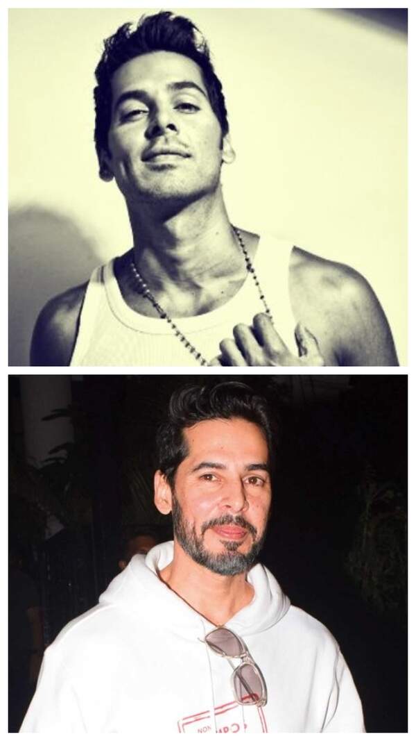 Dino Morea Pictures