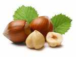 ​Hazelnuts