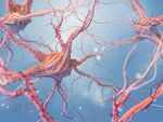 What symptoms are people experiencing?