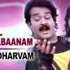 Article image for: Check Out Popular Malayalam Song Music Audio 'Nenjil Kanjabaanam' From Movie 'Gandharvam' Sung By S.P. Balasubrahmanyam Starring Mohanlal