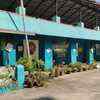 A green polling booth set up at SRV school, Ernakulam