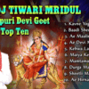 Article image for: Listen to Popular Bhojpuri Devotional songs sung by Manoj Tiwari | Bhojpuri Devi Geet | Top 10 audio Jukebox songs.
