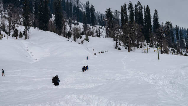 Himachal Pradesh to receive fresh snow, night curfew lowers hotel occupancy in Manali