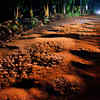 Roads or craters?