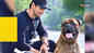 Gold for our babies, say Tollywood's pet parents