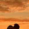 Article image for: <i class="tbold">bollywood couples</i> with the best love stories