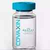 Coronavirus live updates: India's indigenous vaccine against Covid-19 Covaxin achieves remarkable feat, says ICMR