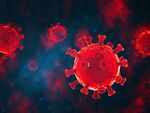 The New coronavirus variant in the United Kingdom