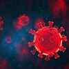 The New coronavirus variant in the United Kingdom