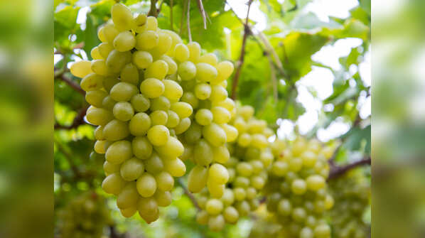 Grapes